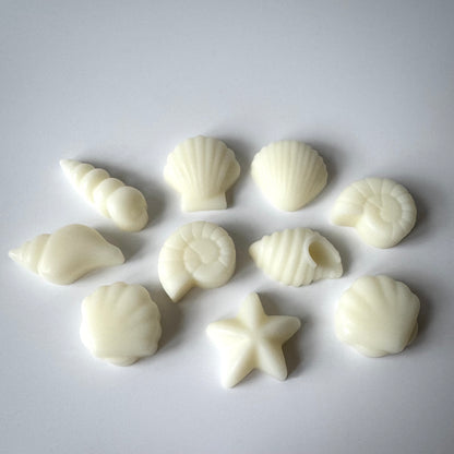 Pot 100g fleur de coton